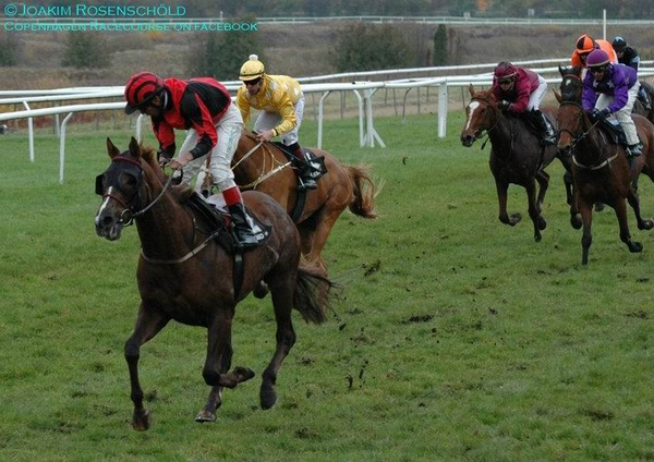 Eko Renaissance vinder Samedi Handicap over 1800m