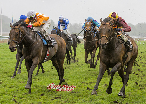 5-årige Cantenac (t.h.), redet af Jacob Johansen, var løbets favorit, og viste imponerende styrke på 
en regnvåd bane, hvilket hingsten ikke syntes bedst om. Foto Burt Seeger