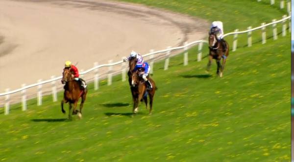 Prince Field (IRE) er i Århus for at teste banen til Jyllandsløbet, og vandt sikkert med jockeylærling Marcos Robaldo. Foto: printscreen fra Danske Spil