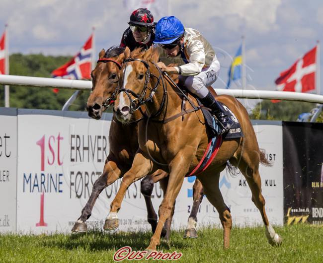 Breeze-Up hoppen Prinsessen (GB) på vej mod sejr i 2-Års premieren Grundlovsdag 2013. Foto Burt Seeger Breeze-Up hoppen Prinsessen (GB) på vej mod sejr i 2-Års premieren Grundlovsdag 2013. Foto Burt Seeger