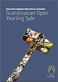 Scandinavian Open Yearling Sale 11 september 2020 York Stutteri