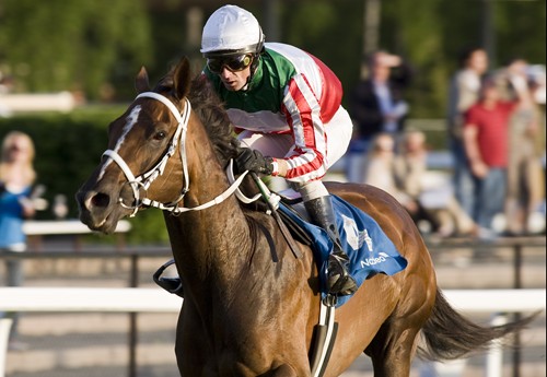 Sejr til Volo Cat, Øvrevoll Mile Cup 2008
