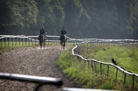 Træning på Klampenborg Galopbane. Foto:
Scanrace.dk