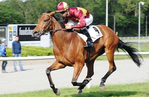 Jubilance (IRE), vinder af Tuborg Jydsk Derby 2012. Foto Ole Hindby