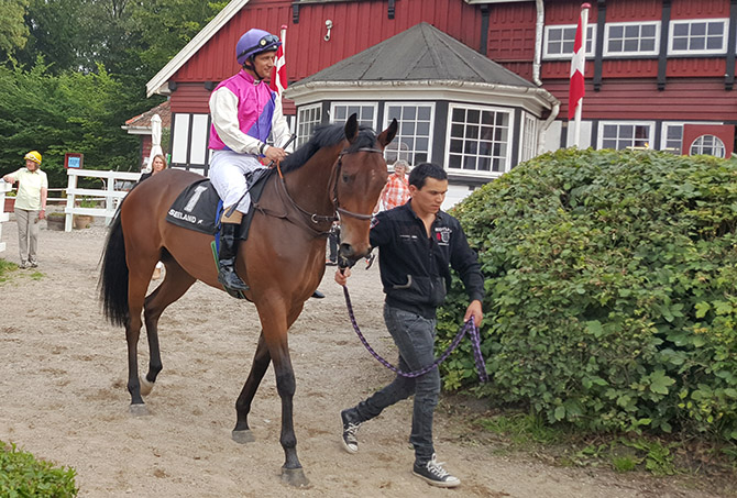 Doc Martin (DEN) 15. august 2015, Klampenborg
