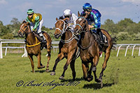 French Warrior (FR) French Warrior (FR)
