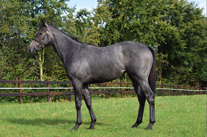 Miss Spectre (SWE)