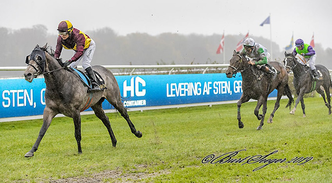Grey Flash (USA) med sejr i Basnæsløb 2. nov. 2019, redet af Carlos Lopez. Foto Burt Seeger