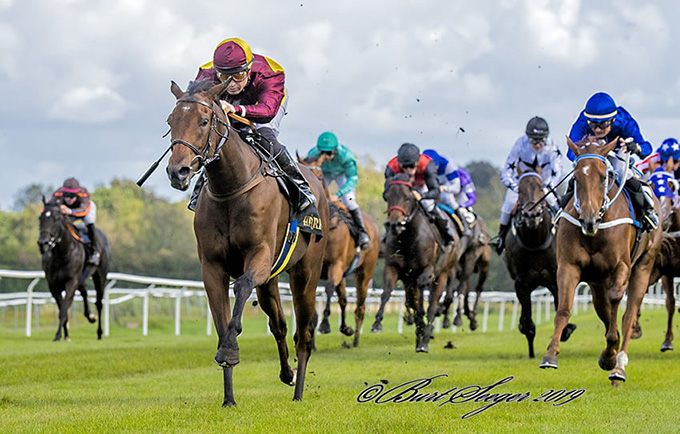 New Target (DEN), vinder af Dansk Auktionsløb 2019 med jockey Manuel Martinez, 14. sep. 2019, Klampenborg. Foto Burt Seeger