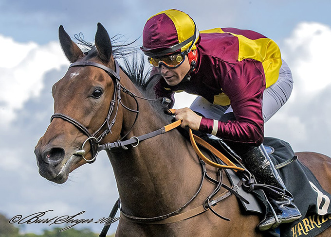 New Target, født 2017, vinder Dansk Galops Auktionsløb 2019 med jockey Manuel Martinez i sadlen. Foto Burt Seeger