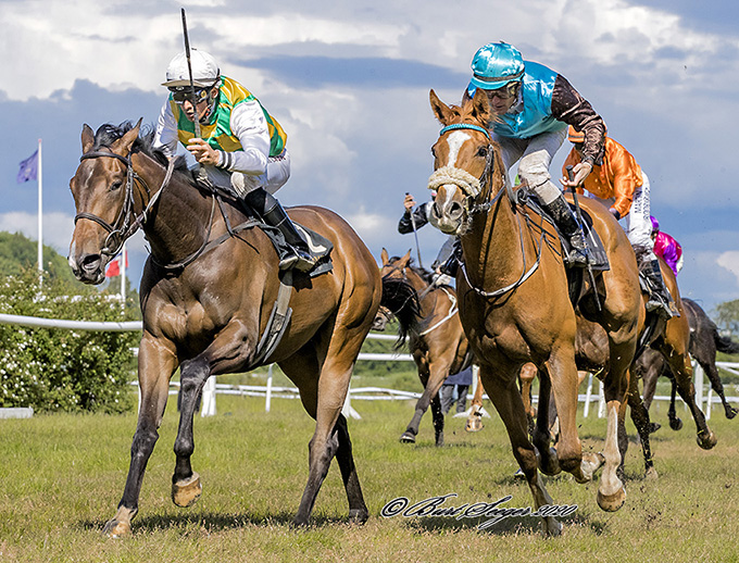 Send Me An Angel bliver redet til sejr af jockey Elione Chaves i et 2200 meter maidenløb på Klampenborg Galopbane, lørdag den 6. juni 2020. Foto Burt Seeger