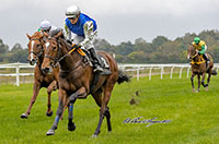 She Is On Fire (IRE) 