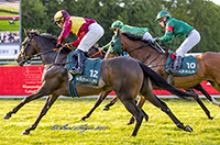 Solitaire (FR)