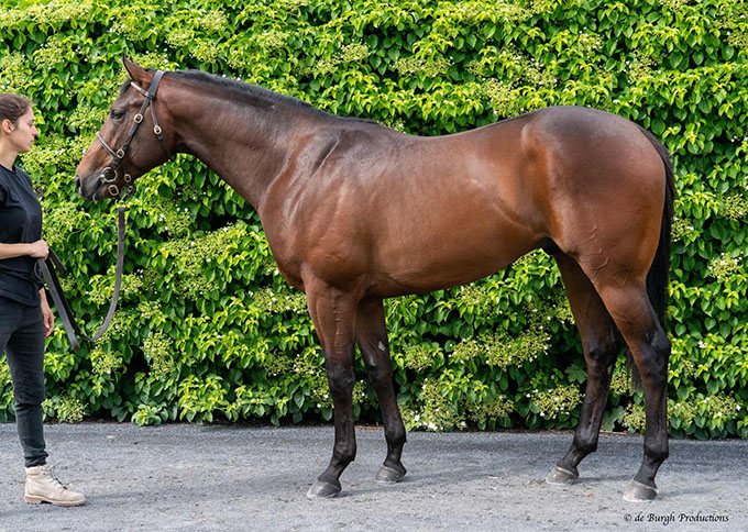 Big Bastian (USA)