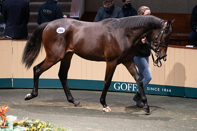 Irish Fire (IRE)