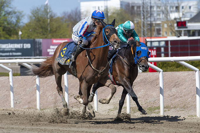 Irish Fire (IRE), født 2020, redet af Elione Chaves, med en fin andenplads på Jägersro Galoppbane, søndag den 30. april. Foto Stefan Olsson, Svensk Galopp