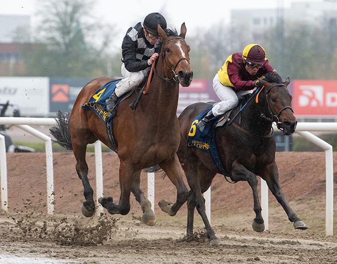 Irish Hope (IRE)