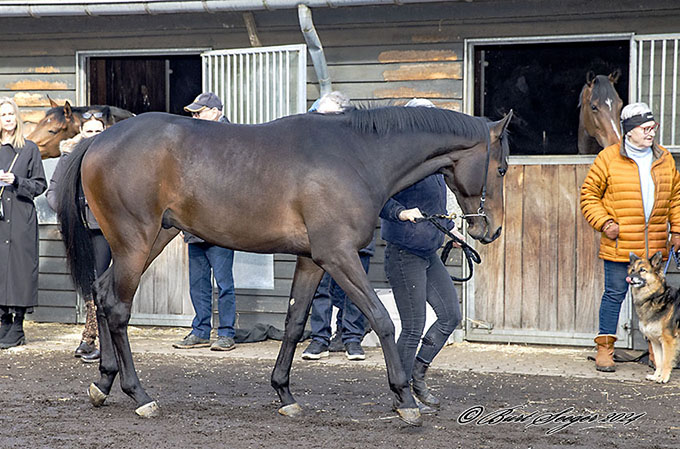 Next Target (DEN), marts 2024. Foto Burt Seeger