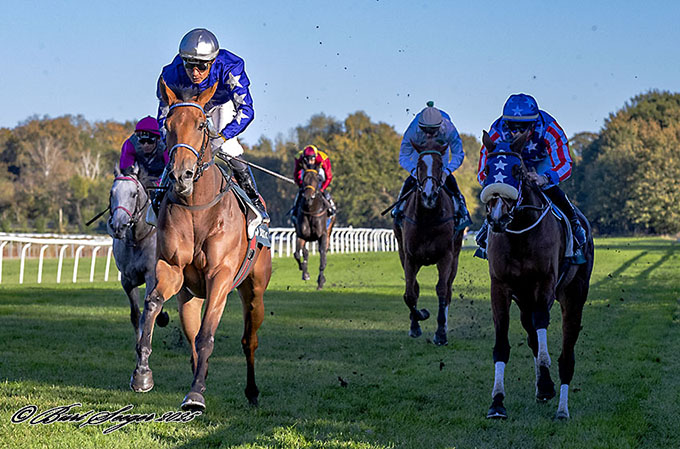 Klassisk sejr til Sandhurst (SWE) som vinder af Dansk St. Leger 2025. Foto Burt Seeger