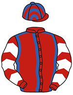 Ejerfarver for Scandinavian Racing Team