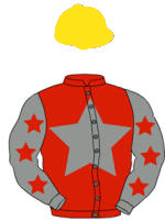 Ejerfarver Star Face AB