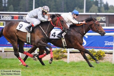 Karakorun vinder i Amacita-Löpning for 2-årige hopper over 1150m, Täby. Foto: Stefan Olsson