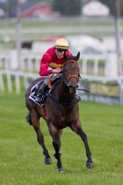 Dingle View vinder Norsk Guineas, juni 2010. Arkivfoto.