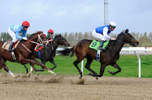 Florence Craye (GB
aflægger sin maidentitel på Jägersro Galopp ons 5. okt. 2011, og får samtidig Racing Post Yearling Bonus. Foto: Stefan Olsson, Svensk Galopp