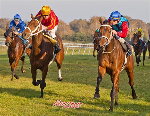 2-årige Opening Day, en af staldens favoritter, sejrer 22. oktober på Klampenborg Galopbane. Foto USPhoto Burt Seeger