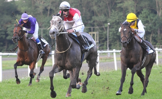 Silver Shine vinder 1. afdeling af Provinsens 3-Års Serie med Jacob Johansen. Foto Ole Hindby