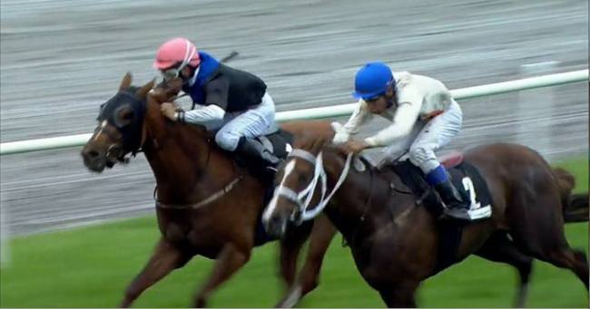 Ale Alejandro (t.v.) med staldens lærling Marcos Robaldo trak sig sejrsrig ud af kampen. Foto Ole Hindby