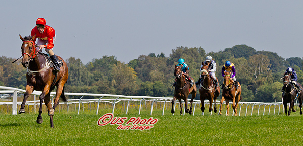Dawnraid sejrer i Goffs Ready To Run Maidenløb med 8,5 længder. Foto Burt Seeger