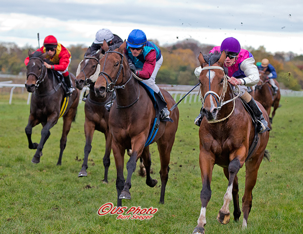 Hvilket herligt syn! Som perler på snor Don’t Lose (t.h.) skarpt forfulgt af Opening Day og Gallant File. Foto Burt Seeger