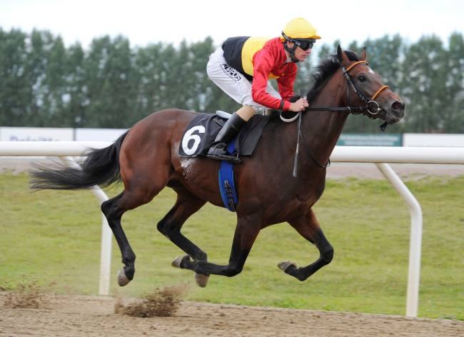 importen East Meets West opnår sin anden sejr på Jägersro Galoppbane, redet af jockey Jacob
	Johansen