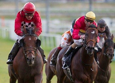 East Meets West i norsk St. Leger med en andenplads East Meets West i norsk St. Leger med en andenplads