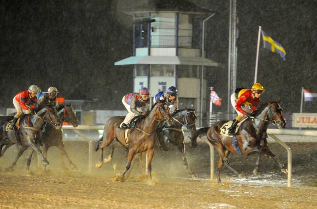 Vejrguderne var  også i spil, da East Meets West blev anden i Bilgruppen i Lund over 2400 m på Jägersro 
Galoppbane 27. september 2012 i et Listed Race.
foto: Steffan Olsson / svensk galopp