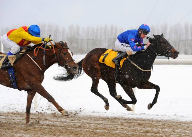 Trods den klare førerposition for Florence Craye og Jacob Johansen, så måtte makkerparret kæmpe til 
sidste galopspring for at komme først over målstregen. Foto: Stefan Olsson – Svensk Galopp