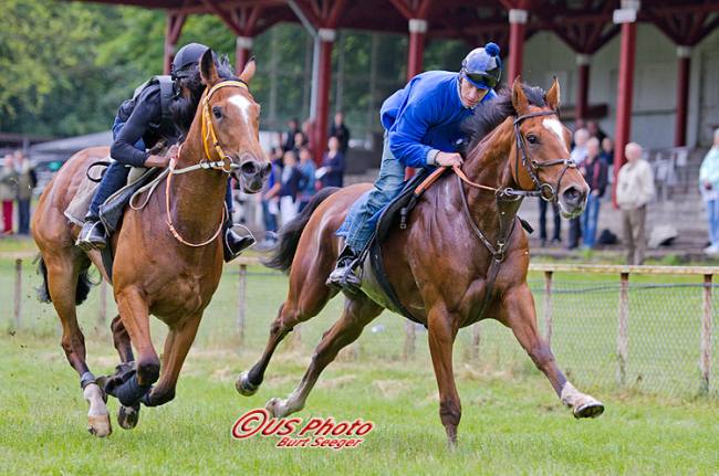 Hanna (t.v.) i morgengalop mandag d. 18. juni. Rides søndag af franske Louis Beuzelin. Foto: Burt Seeger