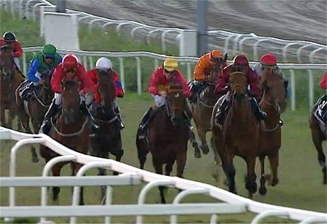 Jubilance (IRE) vinder af Norsk 2000 Guineas - 2012.