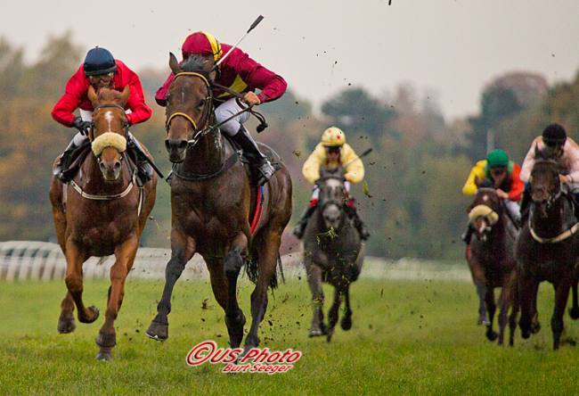 Lancier, redet af jockeylærling Marcos Robaldo, vinder med to længder. Foto Burt Seeger
