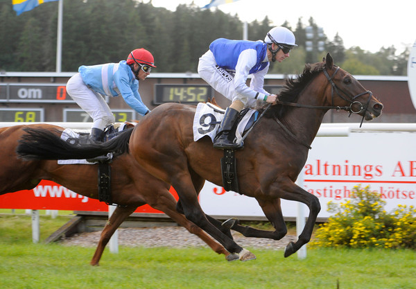 Majestic Dowsing (IRE) og jockey Jacob Johansen på vej mod sejr på Täby 12. sep. 2012
