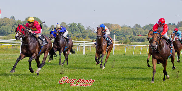 Master Chef's 11. sejr, her i Goffs Sprint Cup. Foto Burt Seeger