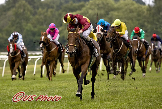 Master Kid efterlader et stort savn hos alle berørte. Billedet viser Master Kid i 2008, suveræn vinder af 
Dansk Derby. Foto: Burt Seeger.