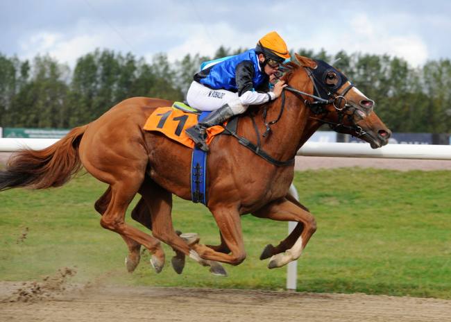 Mr Fong (GB) aflægger sin maidentitel på Jägersro søndag den 7. oktober 2012, redet af
	staldens jockeylærling Marcos Robaldo
