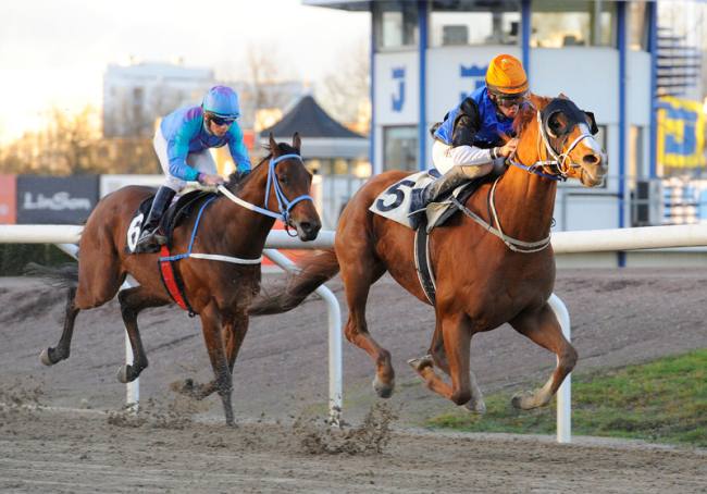 Mr Fong (GB) vinder let med 2,5 længde på Jägersro søndag den 11 november 2012, redet af jockeylærling Marcos Robaldo