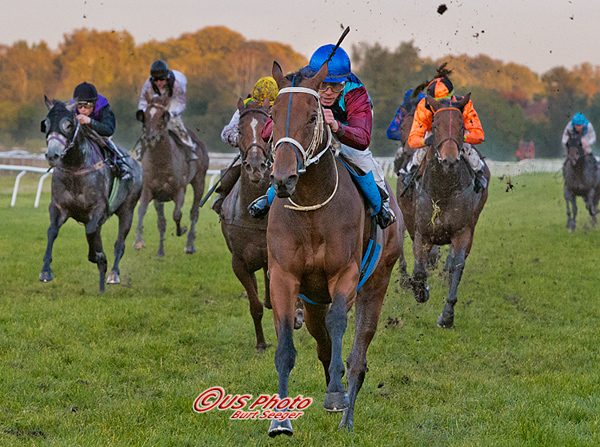3 årige Opening Day vinder for anden gang. Her på Klampenborg i Holma Ivory Handicap