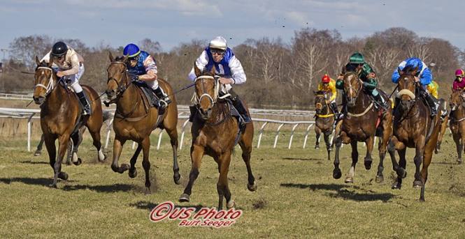 Easy Life viste sin kapacitet ved sæsonpræmieren på Klampenborg Galopbane 20. april 2013. Foto Burt Seeger