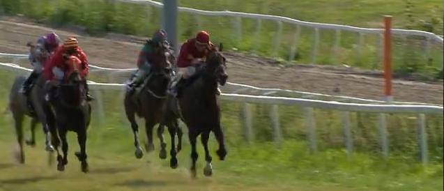 Falconet sætter fra det øvrige felt i Mesterskap for 3-Åringer på Øvrevoll Galopp, og vinder suverænt med 7 længder. Foto skærmprint fra Norsk Risktoto
