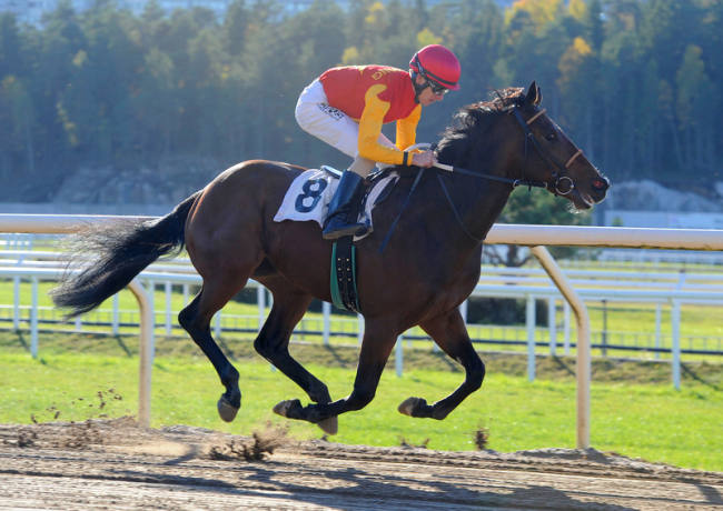 Hongkong Star vandt en overbevisende sejr  i Breeder’s Trophy Juvenile Consolation. Foto Stefan Olsson