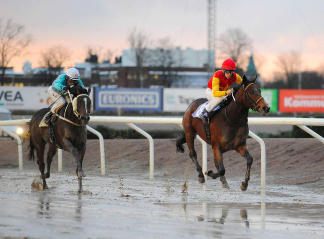 Hongkong Star med jockey Jacob Johansen formåede at ryste alle konkurrenter af sig i Svenskt Kriterium, og indkasserede en fortjenstfuld sejr på en længde. Foto Stefan Olsson / Svensk Galopp